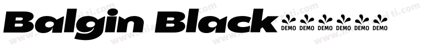 Balgin Black字体转换